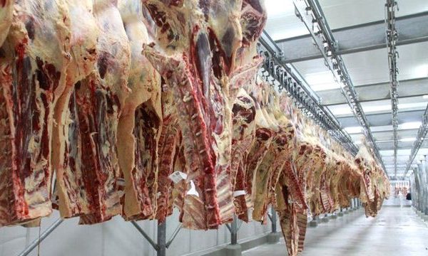 expo_carne_interworld